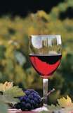 Виноградное вино часто называют солнечным напитком